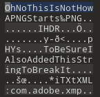 Broken PNG Header